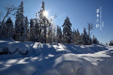 全属性武道age动漫